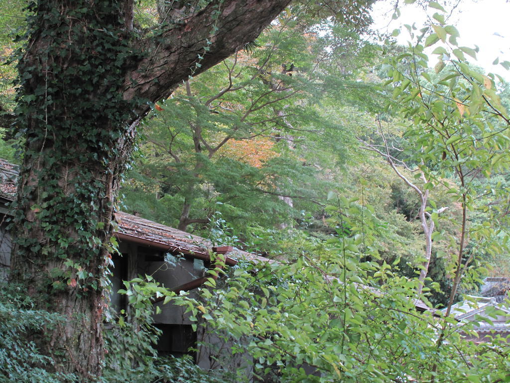 The Deer Park Inn Nara Værelse billede